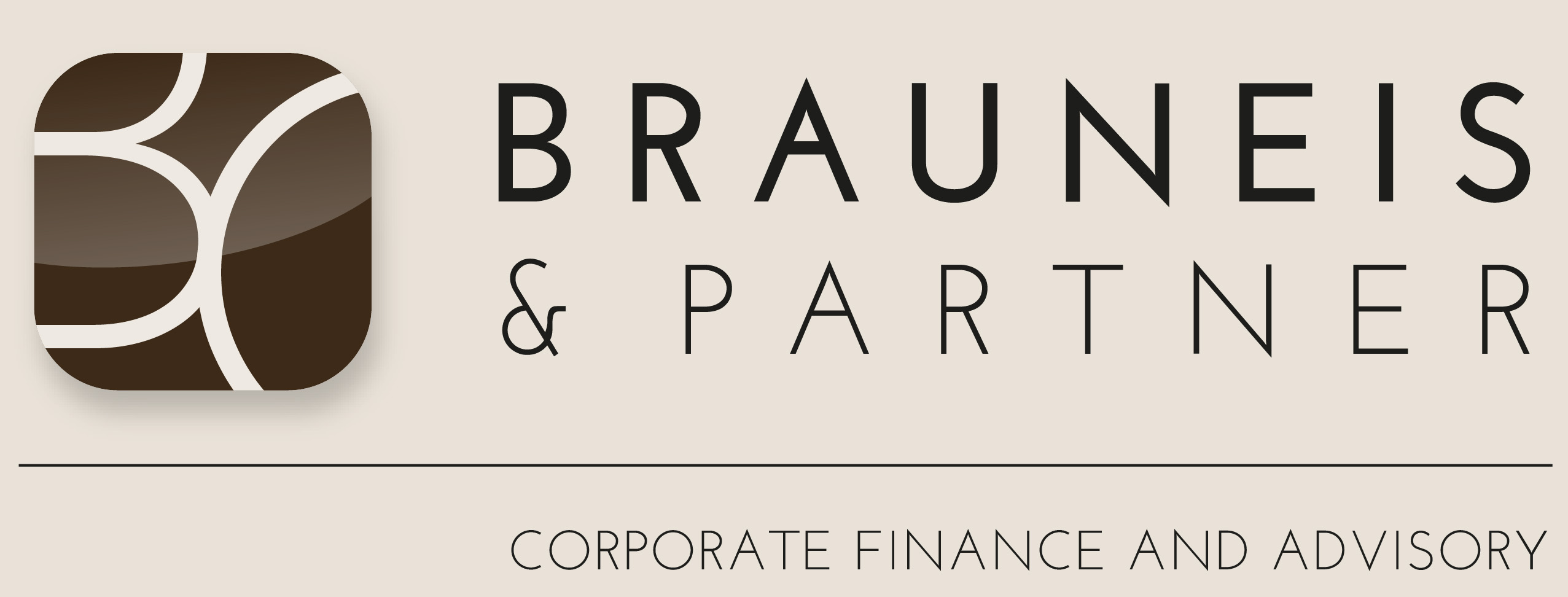 Brauneis & Partner