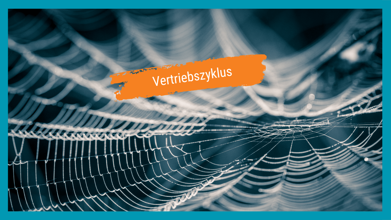 Spinnennetz als Metapher für den vernetzten Sales Cycle